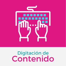 Cargar imagen en el visor de la galería, Digitación de Datos - DATA ENTRY (100 unidades)